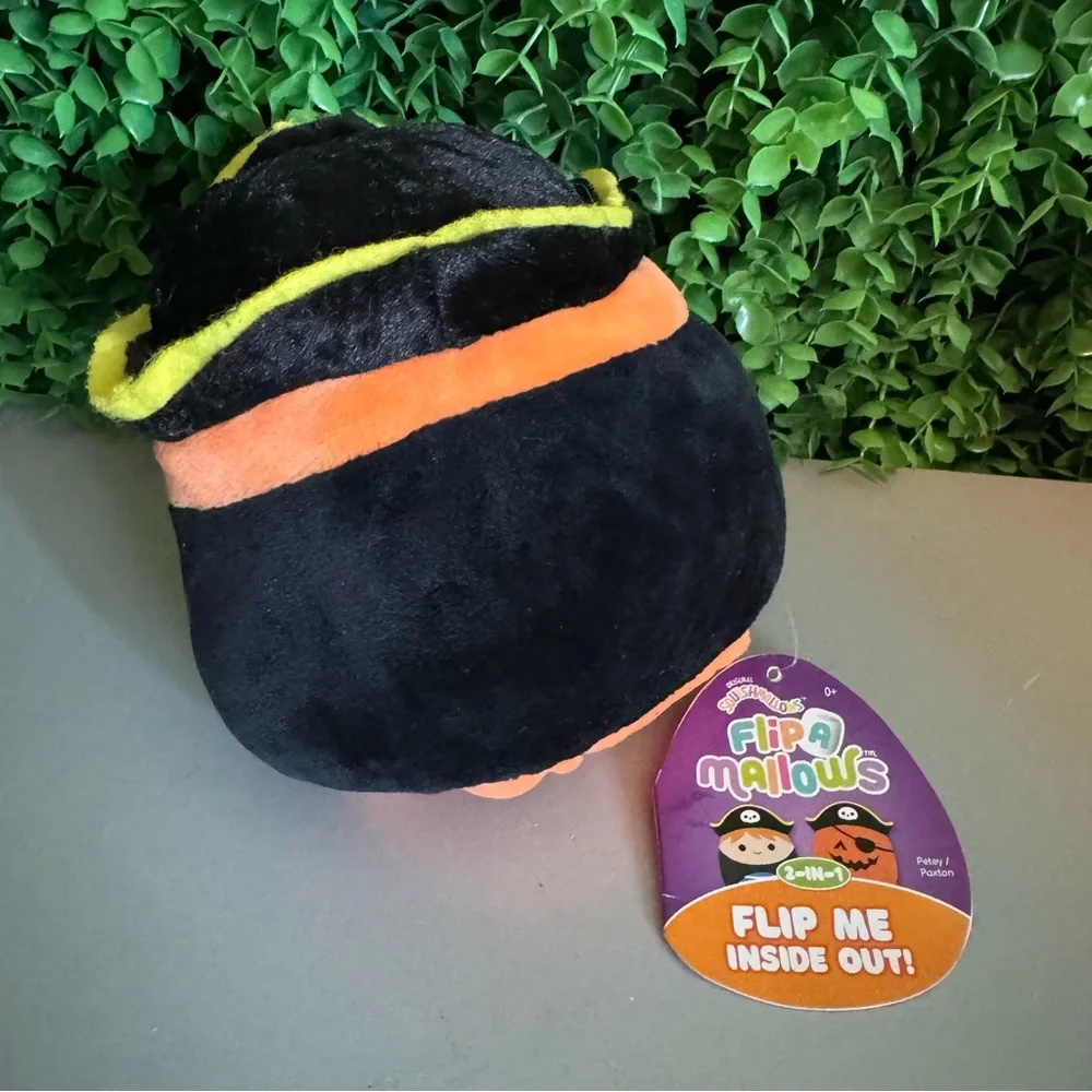 Petey the Pirate & Paxton the Pumpkin 5